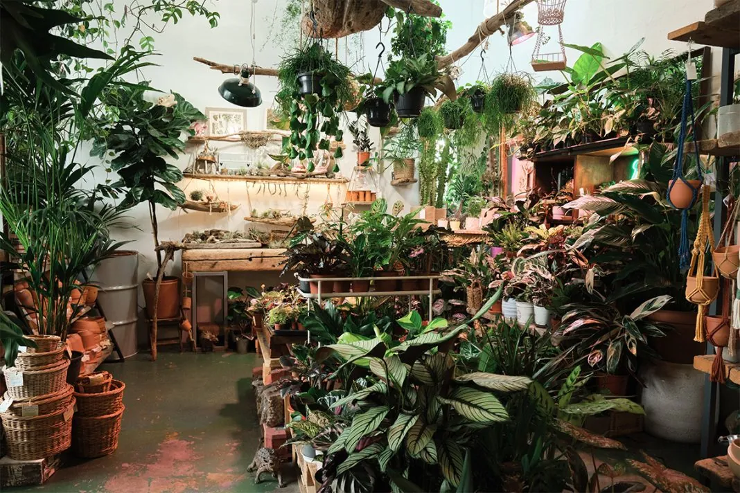 Wholesale solar garden lights arranged in a retail display