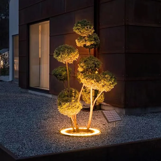Solar spotlight uplighting a shaped tree at night